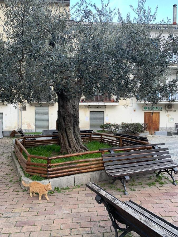 B&B Il Vicoletto Olevano sul Tusciano Ngoại thất bức ảnh